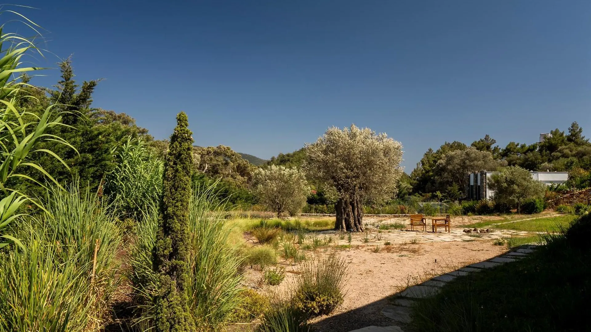 Bodroombnb Fully Private Villa In Yalikavak For 20 Guests ,2 Pools & Botanical Garden Ideal For Events, Families & Friends Gokcebel  Turecko